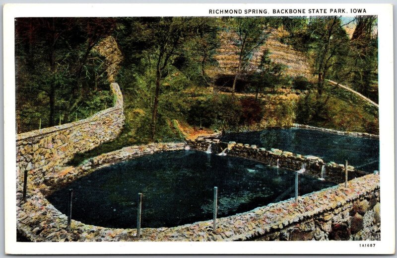 Richmond Spring Backbone State Park Iowa IA Scenis Attraction Postcard