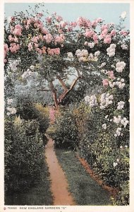 New England Gardens Misc, Massachusetts MA