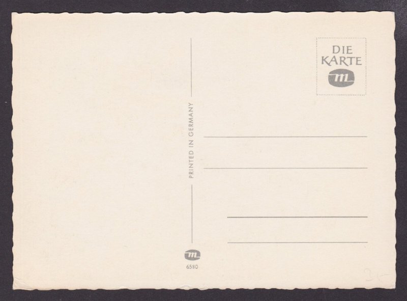 GERMANY, Postcard, Monkeys in the garden, Unposted
