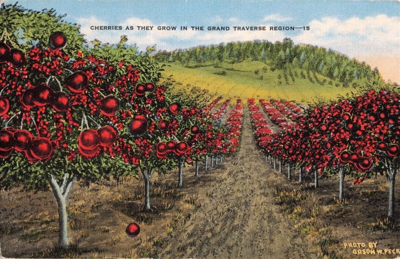 Cherry Tree Orchard Grand Traverse Region Postcard 2R5-291