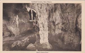 New Mexico Carlsbad Caverns Devil's Spring Pool