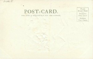Arizona Bright  Angel Trail C-1905 Postcard Grand Canyon undivided 12073