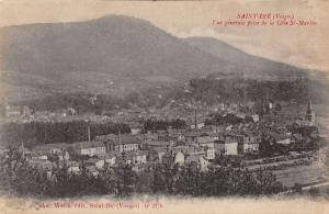 Saint-Die-des-Vosges France view from Cote St-Martin antique pc Z13047