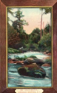 Vintage Postcard Cold Brook Flowing Waters Adirondacks Mountain New York NY