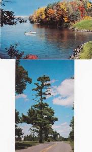 (2 cards) Greetings from Rogers City MI, Michigan - Motor Boat - Lone Pine Tree