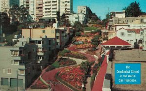 USA San Francisco Crookedest Street In The World Vintage Postcard 07.43