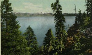 View From Rubicon Point Lake Tahoe, CA Landscape Vintage Postcard P95