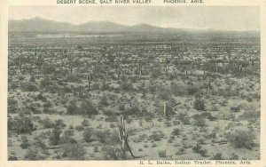 Phoenix Arizona Desert Salt River Valley Balke Albertype 1920s Postcard 21-10523