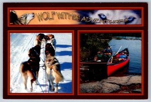 Wolf Within Adventures, Canoe, Dogsledding, Temagami Canada, Split View Postcard