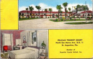 Linen Postcard Pelican Tourist Court in St. Augustine, Florida~135822 