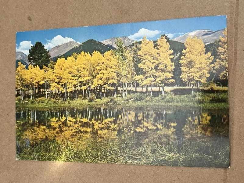 UNUSED POSTCARD - HORSESHOE PARK & MUMMY RANGE, ESTES PARK, COLORADO