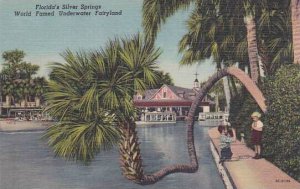 Florida Silver Springs World Famed Underwater Fairyland
