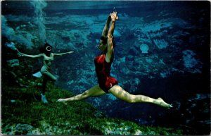 Florida Weeki Wachee Spring Beautiful Mermaid