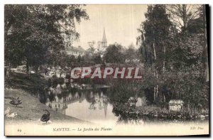 Old Postcard Nantes Jardin des Plantes