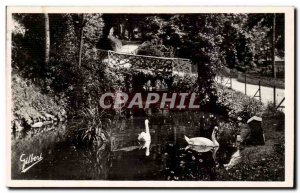 Old Postcard Angouleme Green Garden The rustic bridge Swans