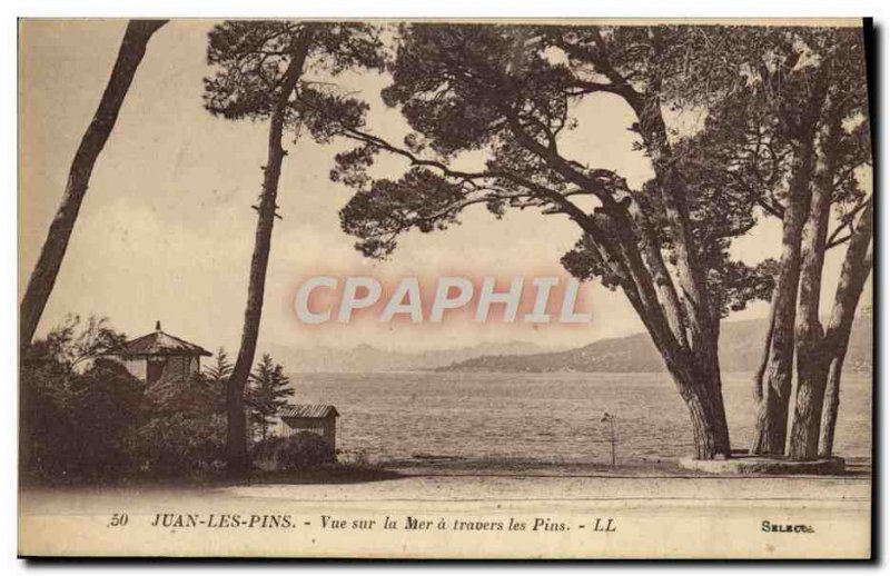 Old Postcard Juan les Pins Sea through the Pines