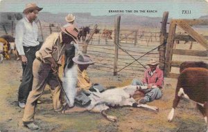 Cowboys branding Calf Western Ranch linen postcard