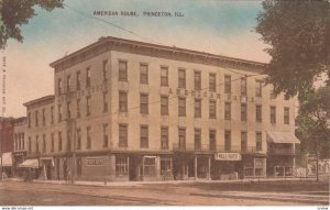 PRINCETON , Illinois , 00-10s ; American House