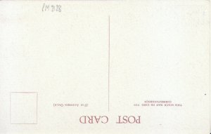 Middlesex Postcard - Hampton Court Palace - Wilderness Entrance - Ref TZ5604