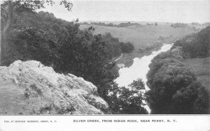 Postcard New York Perry Silver Creek Indian Rock Jencke's Bookery 23-205
