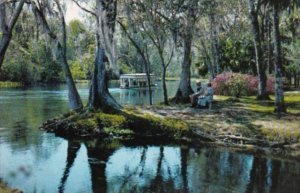 Florida Silver Springs Glass Bottom Boat On Silver River