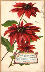 Vintage Postcard Good Wishes Red Poinsettia Good Fortune Speed Thee & Happiness
