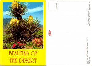 Beauties of the Desert (10751)