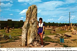 South Dakota Kadoka Badlands Petrified Gardens