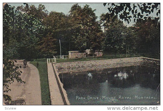 Park Drive, Mount Royal, Montreal, Quebec, Canada, PU-1911