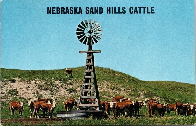 Nebraksa Sand Hills Cattle Windmill NE Postcard UNP VTG Unused Vintage 