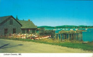 USA Lobster Country Mt. Desert Island Maine Chrome Postcard 08.15