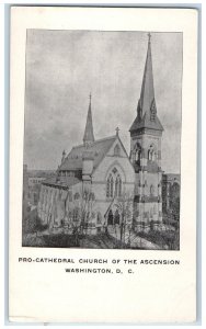 c1905 Pro Cathedral Church Of The Ascension Aerial View Washington DC Postcard