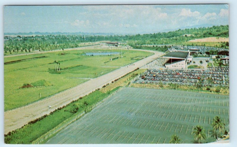 SAN JUAN, PUERTO RICO ~ Aerial View EL COMANDANTE RACE TRACK Horses  Postcard 