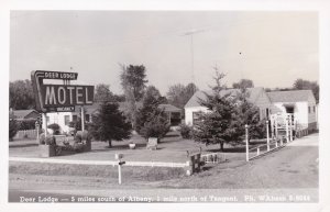 New York Albany Deer Lodge Motel Real Photo