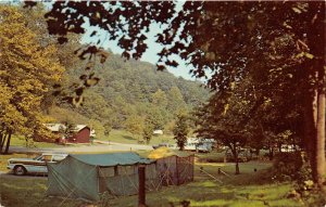 Greenup Kentucky 1960s Postcard Tents Camping at Greenbo Lake State park