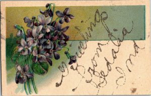 Greetings from Sedalia IN Glitter Violets c1908 Vintage Linen Postcard O26