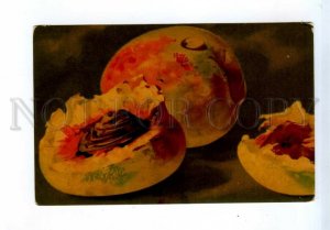 544597 Catharina KLEIN Sweet Peach FRUITS Vintage postcard