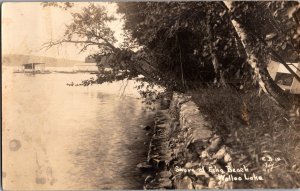 RPPC View of Shore at Echo Beach, Walloo Lake MI Vintage Postcard M60