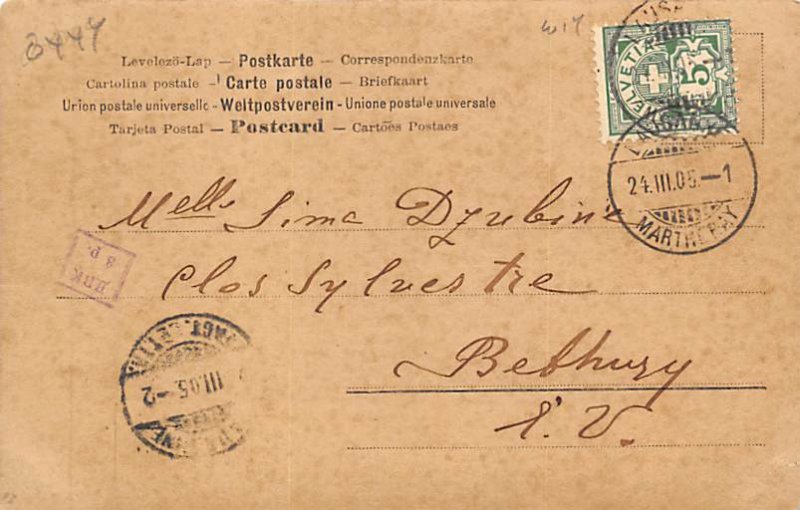 Real Photo View Images 