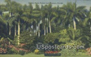 Stately Royal Palms - Misc, Florida FL  