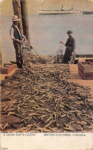 A Good Day's Fishing Catch British Columbia Canada 1907 postcard