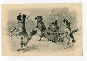 264097 Dressed DOG Terrier PUG carpetbag BAG Vintage postcard