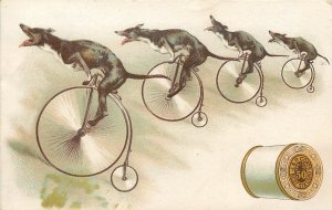 Trade Card Advertising JP Coats Thread, Greyhound Dogs on Velocipede Bicycles