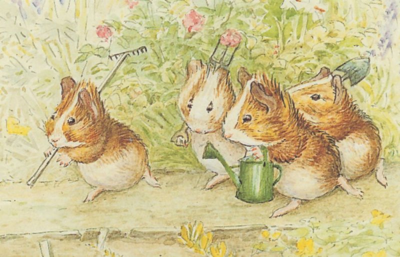 Cecily Parsleys Nursery Rhymes Beatrix Potter Guinea Pigs Postcard