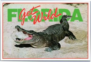 Get Wild Florida - Albert the Aligator