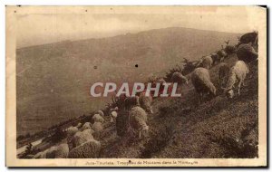 Old Postcard Jura Tourist Sheep Flock in Mountain