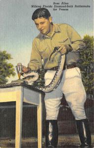 Miami FL Ross Allen Diamond-Back Rattlesnake Venom Curt Teich Postcard