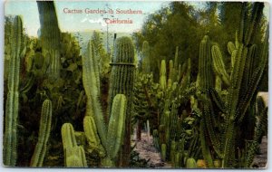 Postcard - Cactus Garden in Southern California
