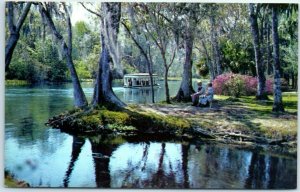 M-27227 A Beautiful Florida Scene Along Silver River in famous Silver Springs...