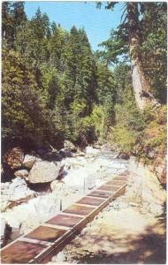 Fish Ladder at Granite Falls Mountain Loop Hwy Washington WN